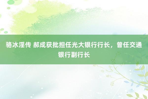 骆冰淫传 郝成获批担任光大银行行长，曾任交通银行副行长