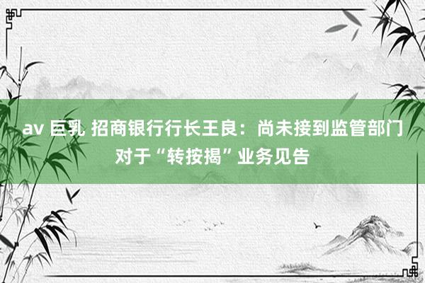 av 巨乳 招商银行行长王良：尚未接到监管部门对于“转按揭”业务见告