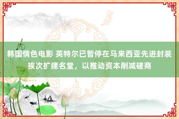 韩国情色电影 英特尔已暂停在马来西亚先进封装挨次扩建名堂，以推动资本削减磋商