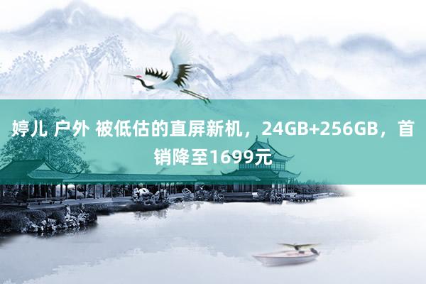 婷儿 户外 被低估的直屏新机，24GB+256GB，首销降至1699元