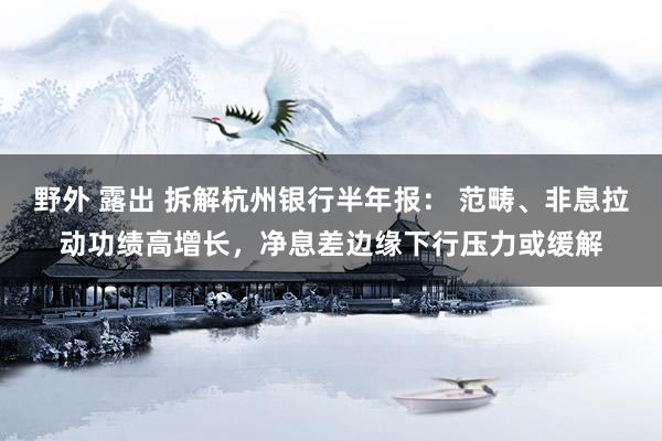 野外 露出 拆解杭州银行半年报： 范畴、非息拉动功绩高增长，净息差边缘下行压力或缓解