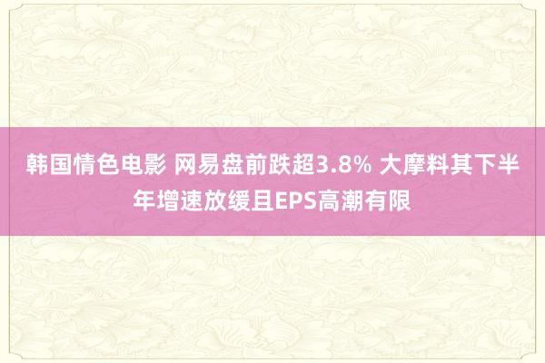 韩国情色电影 网易盘前跌超3.8% 大摩料其下半年增速放缓且EPS高潮有限