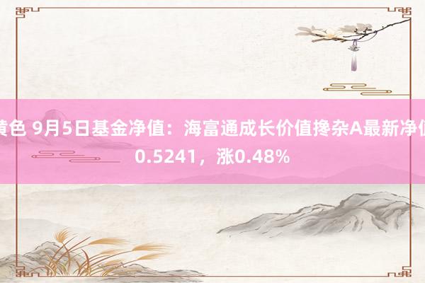 黄色 9月5日基金净值：海富通成长价值搀杂A最新净值0.5241，涨0.48%