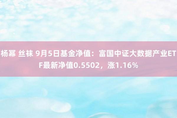 杨幂 丝袜 9月5日基金净值：富国中证大数据产业ETF最新净值0.5502，涨1.16%