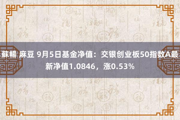 蘇暢 麻豆 9月5日基金净值：交银创业板50指数A最新净值1.0846，涨0.53%