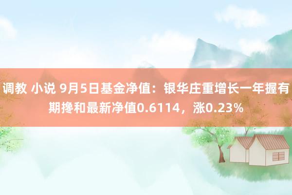 调教 小说 9月5日基金净值：银华庄重增长一年握有期搀和最新净值0.6114，涨0.23%