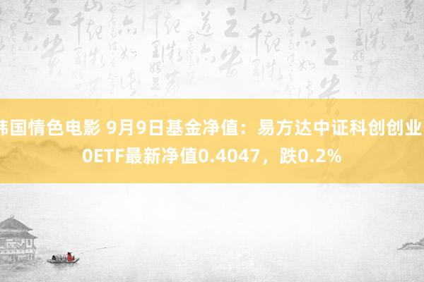 韩国情色电影 9月9日基金净值：易方达中证科创创业50ETF最新净值0.4047，跌0.2%