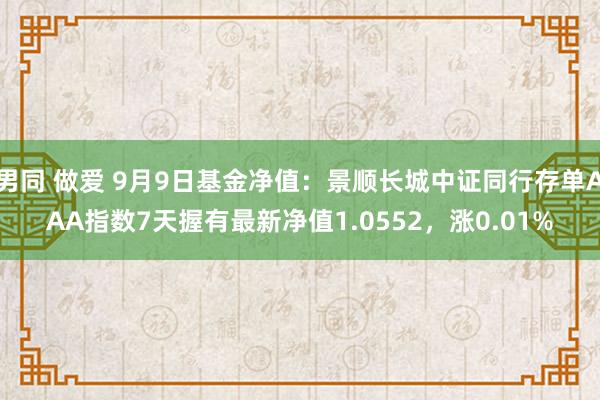 男同 做爱 9月9日基金净值：景顺长城中证同行存单AAA指数7天握有最新净值1.0552，涨0.01%