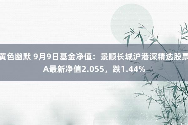 黄色幽默 9月9日基金净值：景顺长城沪港深精选股票A最新净值2.055，跌1.44%