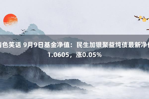 情色笑话 9月9日基金净值：民生加银聚益纯债最新净值1.0605，涨0.05%