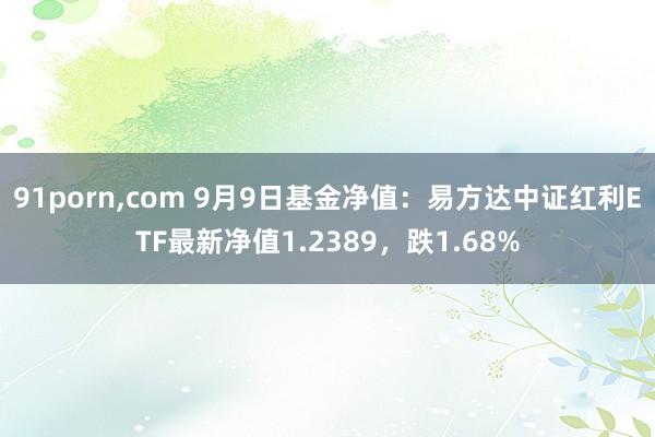 91porn，com 9月9日基金净值：易方达中证红利ETF最新净值1.2389，跌1.68%