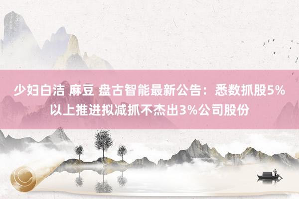 少妇白洁 麻豆 盘古智能最新公告：悉数抓股5%以上推进拟减抓不杰出3%公司股份