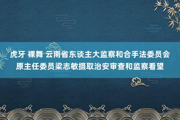 虎牙 裸舞 云南省东谈主大监察和合手法委员会原主任委员梁志敏摄取治安审查和监察看望