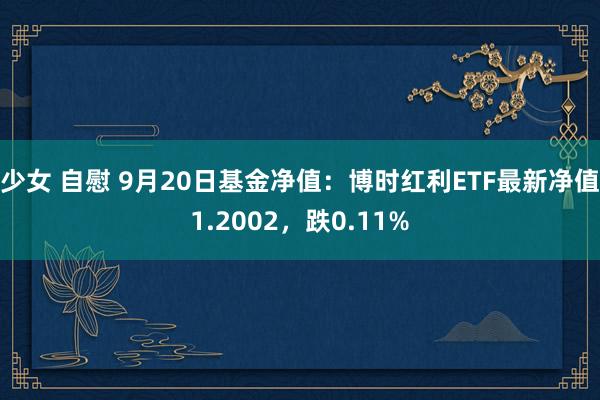 少女 自慰 9月20日基金净值：博时红利ETF最新净值1.2002，跌0.11%