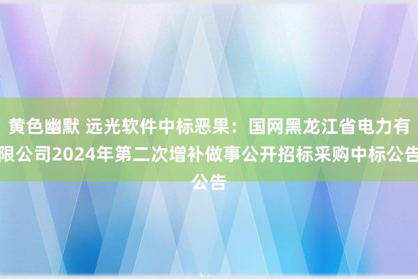 黄色幽默 远光软件中标恶果：国网黑龙江省电力有限公司2024年第二次增补做事公开招标采购中标公告