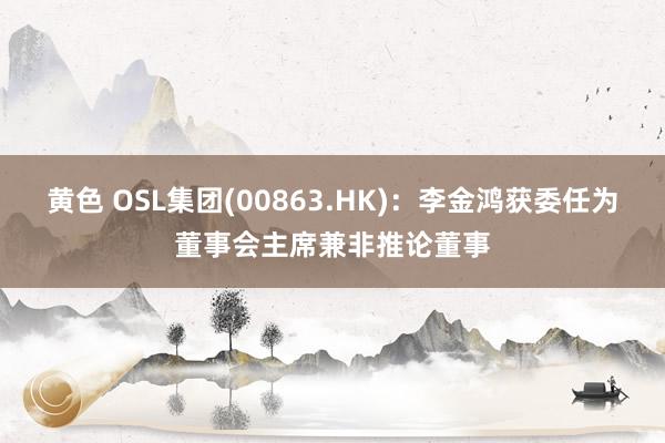 黄色 OSL集团(00863.HK)：李金鸿获委任为董事会主席兼非推论董事