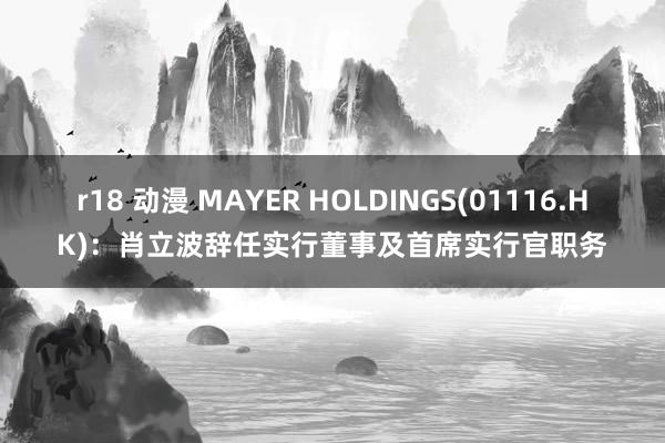 r18 动漫 MAYER HOLDINGS(01116.HK)：肖立波辞任实行董事及首席实行官职务