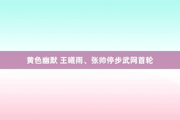 黄色幽默 王曦雨、张帅停步武网首轮