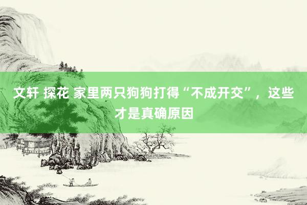 文轩 探花 家里两只狗狗打得“不成开交”，这些才是真确原因