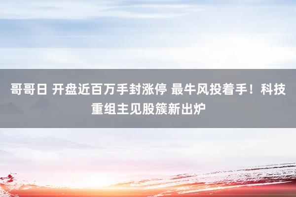 哥哥日 开盘近百万手封涨停 最牛风投着手！科技重组主见股簇新出炉