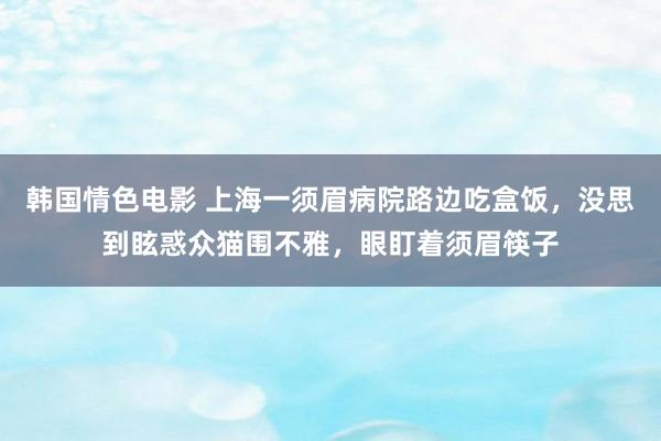 韩国情色电影 上海一须眉病院路边吃盒饭，没思到眩惑众猫围不雅，眼盯着须眉筷子