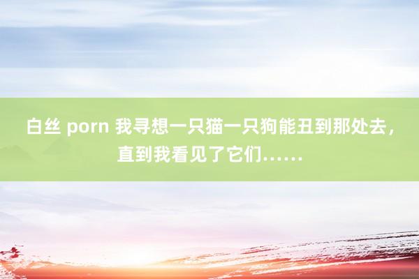 白丝 porn 我寻想一只猫一只狗能丑到那处去，直到我看见了它们……