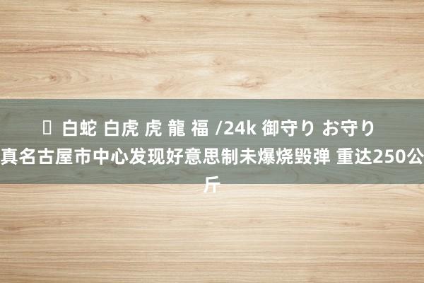 ✨白蛇 白虎 虎 龍 福 /24k 御守り お守り 日真名古屋市中心发现好意思制未爆烧毁弹 重达250公斤