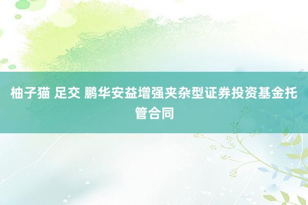 柚子猫 足交 鹏华安益增强夹杂型证券投资基金托管合同