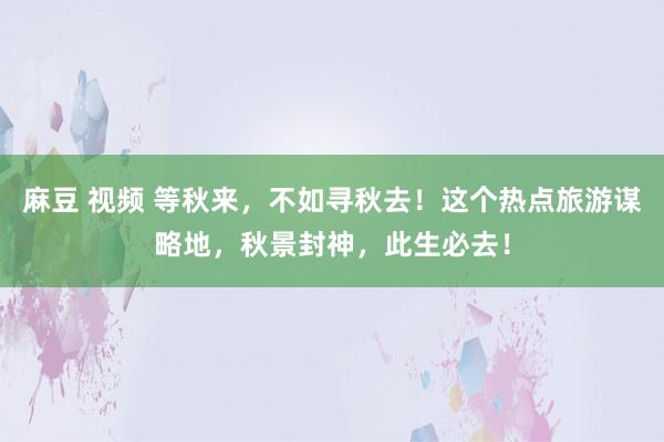 麻豆 视频 等秋来，不如寻秋去！这个热点旅游谋略地，秋景封神，此生必去！