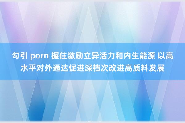 勾引 porn 握住激励立异活力和内生能源 以高水平对外通达促进深档次改进高质料发展