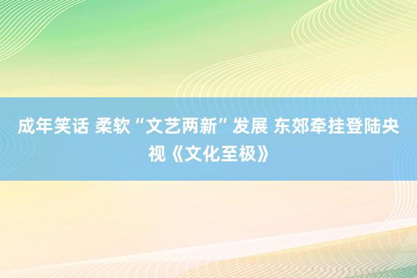 成年笑话 柔软“文艺两新”发展 东郊牵挂登陆央视《文化至极》