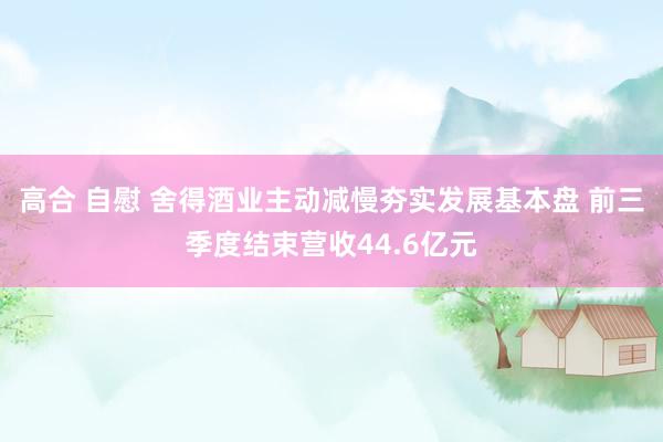 高合 自慰 舍得酒业主动减慢夯实发展基本盘 前三季度结束营收44.6亿元