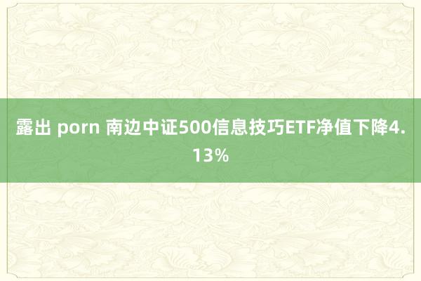 露出 porn 南边中证500信息技巧ETF净值下降4.13%