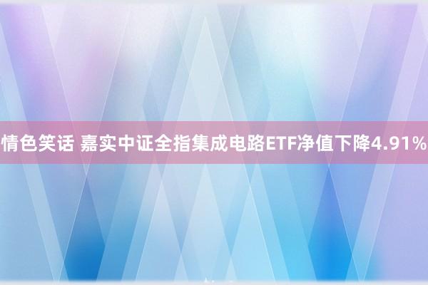 情色笑话 嘉实中证全指集成电路ETF净值下降4.91%