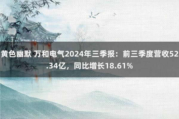 黄色幽默 万和电气2024年三季报：前三季度营收52.34亿，同比增长18.61%