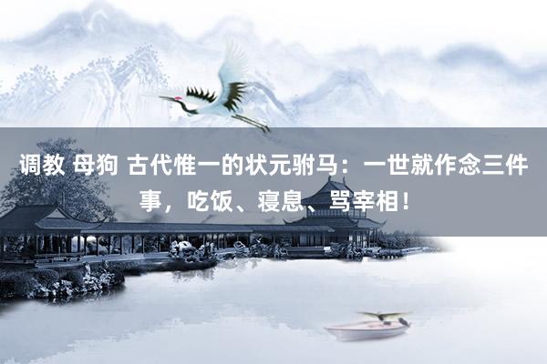 调教 母狗 古代惟一的状元驸马：一世就作念三件事，吃饭、寝息、骂宰相！