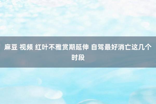 麻豆 视频 红叶不雅赏期延伸 自驾最好消亡这几个时段