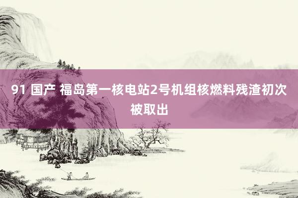 91 国产 福岛第一核电站2号机组核燃料残渣初次被取出