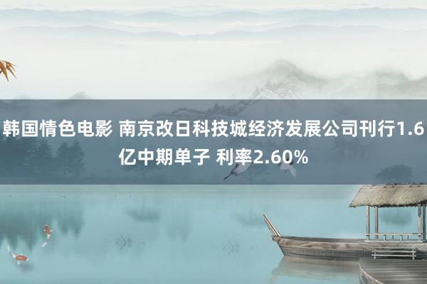 韩国情色电影 南京改日科技城经济发展公司刊行1.6亿中期单子 利率2.60%