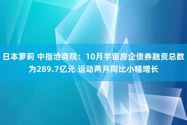 日本萝莉 中指洽商院：10月宇宙房企债券融资总数为289.7亿元 运动两月同比小幅增长