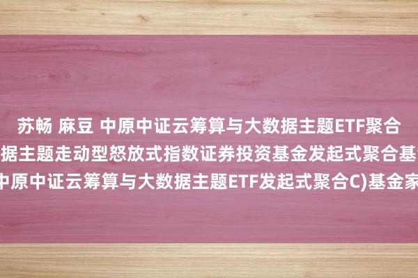 苏畅 麻豆 中原中证云筹算与大数据主题ETF聚合C: 中原中证云筹算与大数据主题走动型怒放式指数证券投资基金发起式聚合基金(中原中证云筹算与大数据主题ETF发起式聚合C)基金家具尊府节录更新(2024-11-07)