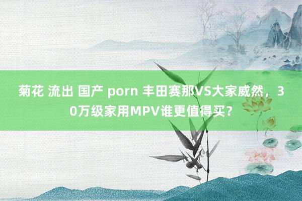 菊花 流出 国产 porn 丰田赛那VS大家威然，30万级家用MPV谁更值得买？