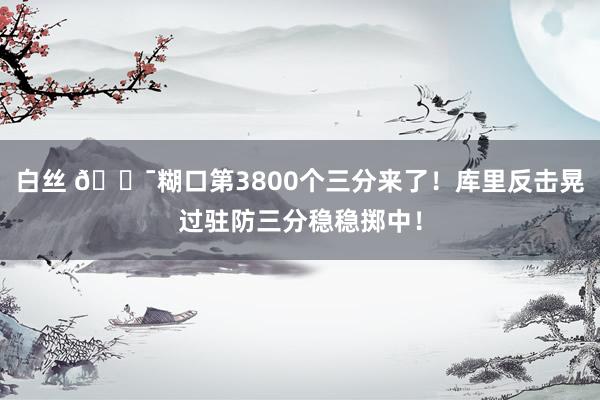 白丝 🎯糊口第3800个三分来了！库里反击晃过驻防三分稳稳掷中！