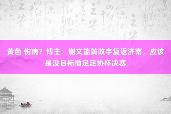 黄色 伤病？博主：谢文能黄政宇复返济南，应该是没目标插足足协杯决赛