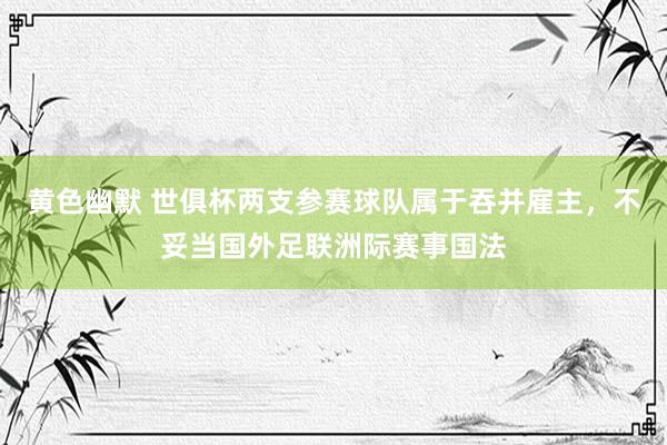 黄色幽默 世俱杯两支参赛球队属于吞并雇主，不妥当国外足联洲际赛事国法