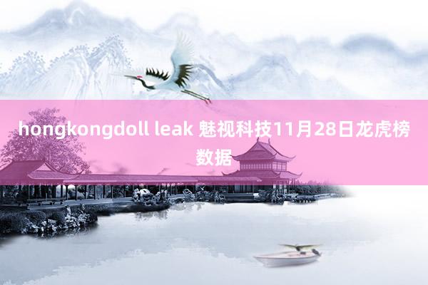 hongkongdoll leak 魅视科技11月28日龙虎榜数据