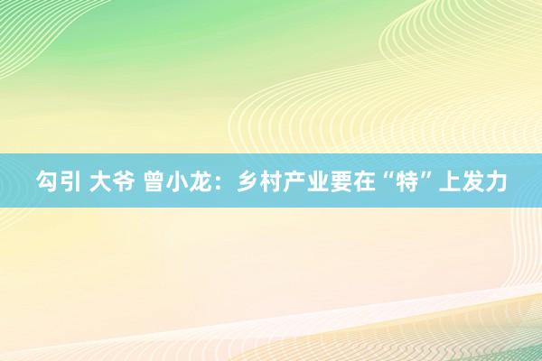 勾引 大爷 曾小龙：乡村产业要在“特”上发力