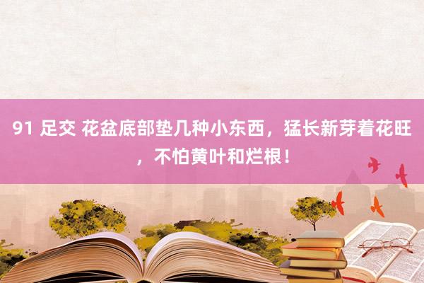 91 足交 花盆底部垫几种小东西，猛长新芽着花旺，不怕黄叶和烂根！