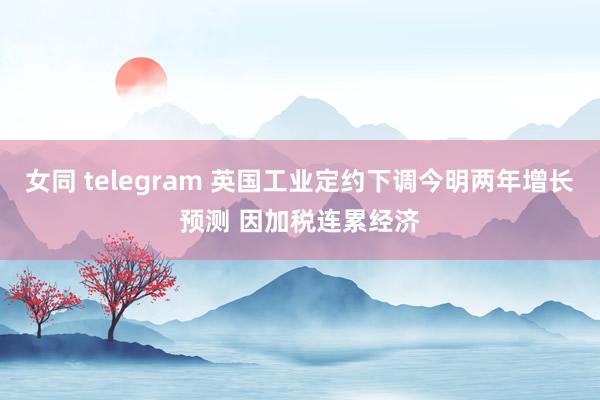 女同 telegram 英国工业定约下调今明两年增长预测 因加税连累经济