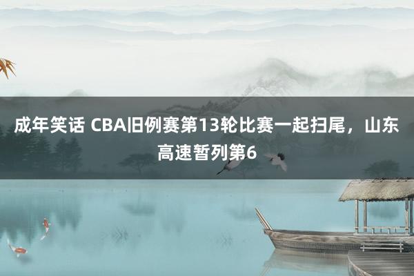 成年笑话 CBA旧例赛第13轮比赛一起扫尾，山东高速暂列第6